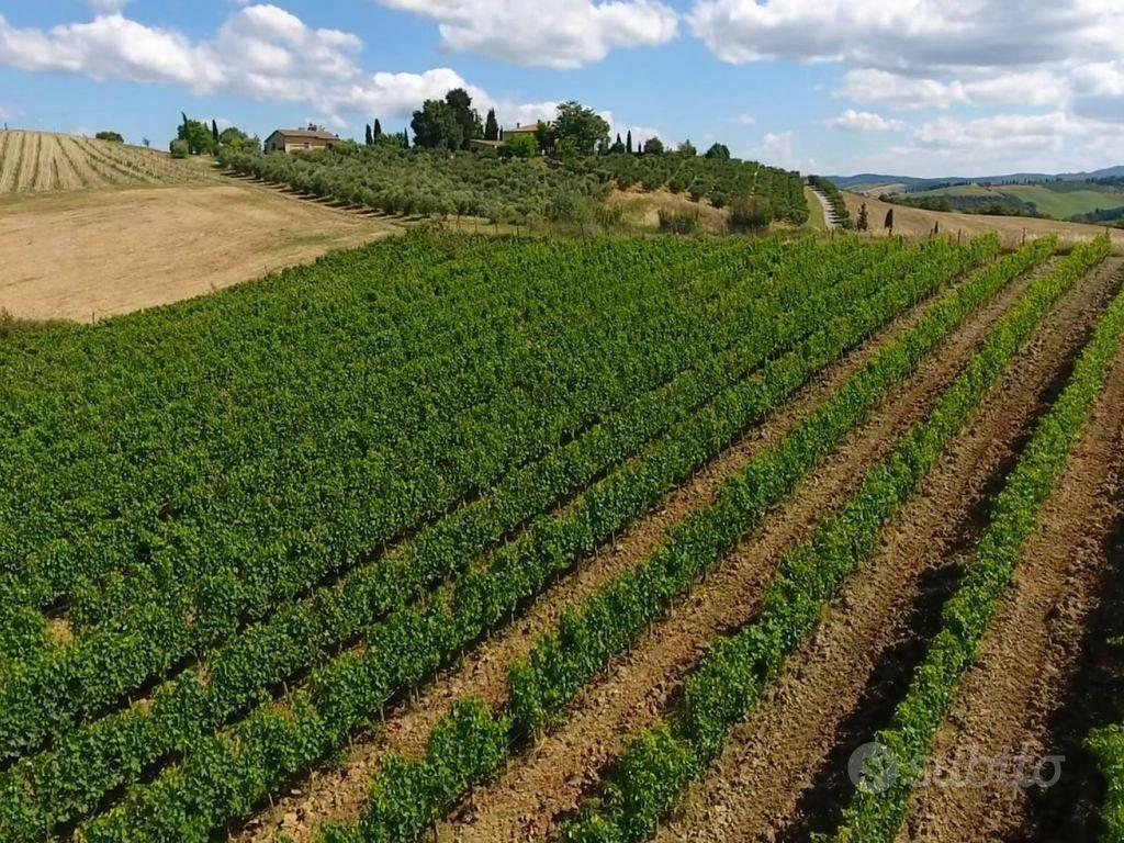 Rustico / Casale di 850 m² con più di 5 locali e b - Vista 5