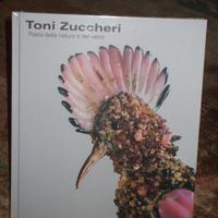 Toni Zuccheri poeta della natura e del vetro