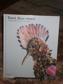 Toni Zuccheri poeta della natura e del vetro