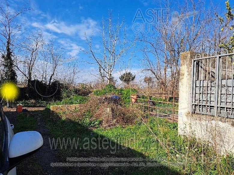 Terreno Agricolo Arzano [A4338001] - Vista 2
