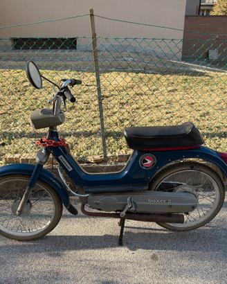 Piaggio Boxer 2 - Conservato Eccellente