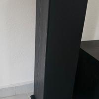 Casse a Torre Polk T50