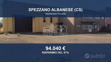 Immobile in asta di 740 m² a Spezzano Albanese