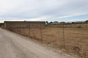 Rif 323 terreno agricolo recintato 1.00