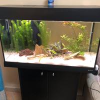 Acquario Ferplast Dubai