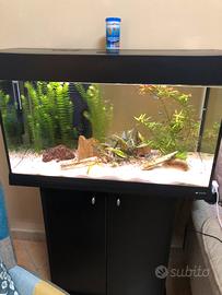 Acquario Ferplast Dubai