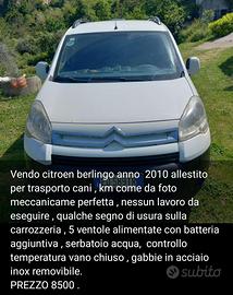 furgone per trasporto cani