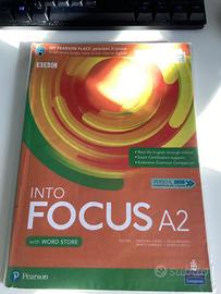 Into Focus A2