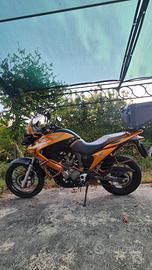 Honda Transalp 2010