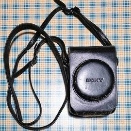 Custodia Sony per serie RX 100 e due batterie.