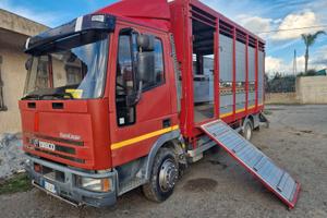Iveco Eurocargo trasporto animali 