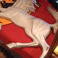 CAVALLINO  RAMPANTE