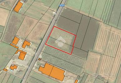 TERRENO A BORGO D'ALE