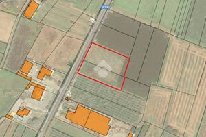 TERRENO A BORGO D'ALE