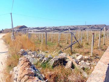 Terreno Agricolo con Pozzo, Cisterna e Magazzino