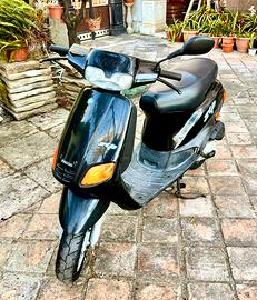 Zip Piaggio