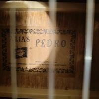 Chitarra classica 