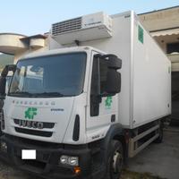 IVECO 150E25 ISOTERMICO CON GRUPPO FRIGO