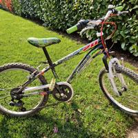 bici bambino raggio 20