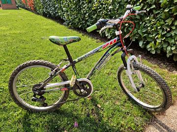 bici bambino raggio 20