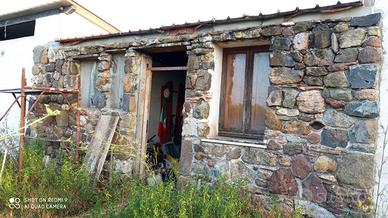 Terreno agricolo con stalla e magazzino