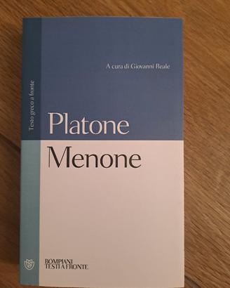 Platone Menone