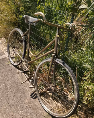 Titolo: Bici d'epoca vintage da donna - Ideale res