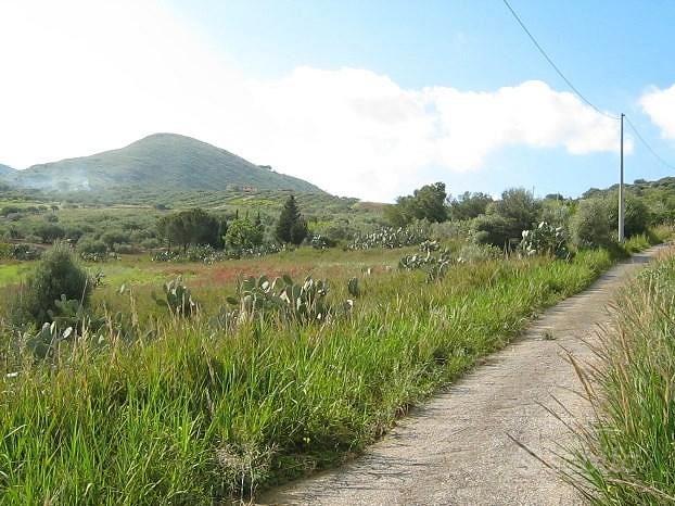 TERRENO in collina - Vista 2
