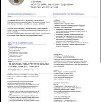 Elettricista