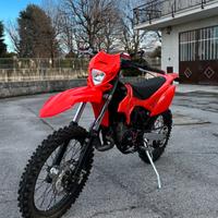 Beta rr50 2019