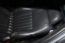 interni-pele-alfa-147
