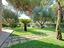 Immagine 21
