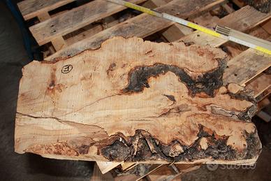 Radica di Olivo/Ulivo (resina epossidica)