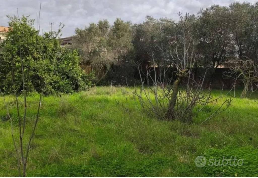 Immobile in asta di 540 m² a Anzio - Vista 4