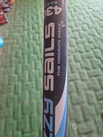Albero Ezzy Sail 91 Carbon 4.30