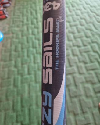 Albero Ezzy Sail 91 Carbon 4.30