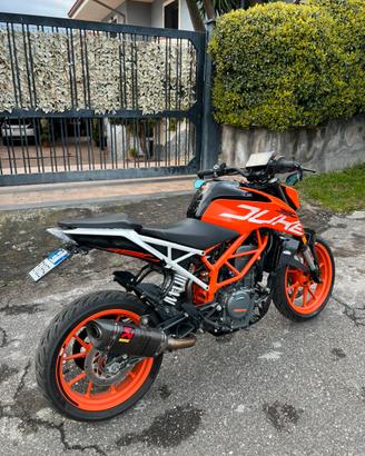 Duke 390 anno 2019