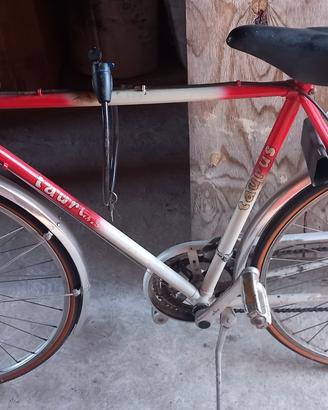 Bicicletta uomo Taurus
