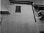 Immagine 8