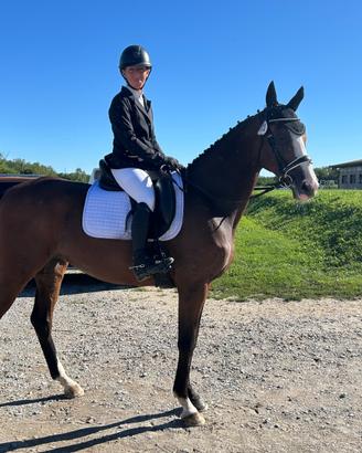 Cavallo da dressage