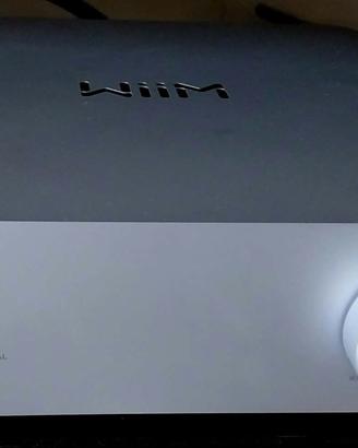 AMPLIFICATORE WIIM VIBELINK