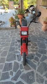 Atala master