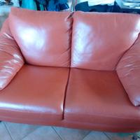 divani in pelle due posti