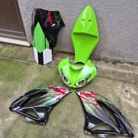 Carene vetroresina Plastic Bike per ZX6R 2009-2015