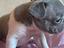 Immagine 3