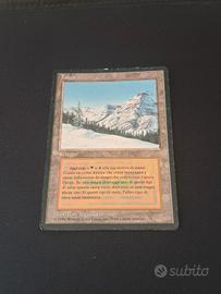 carta magic the Gathering  Taiga 1994