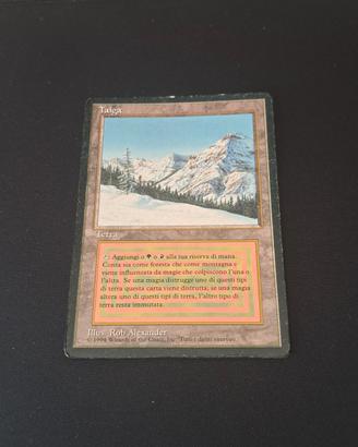 carta magic the Gathering  Taiga 1994