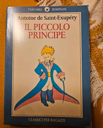 Il piccolo principe