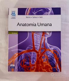 ANATOMIA UMANA