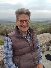 Lezioni e conversazioni di lingua inglese